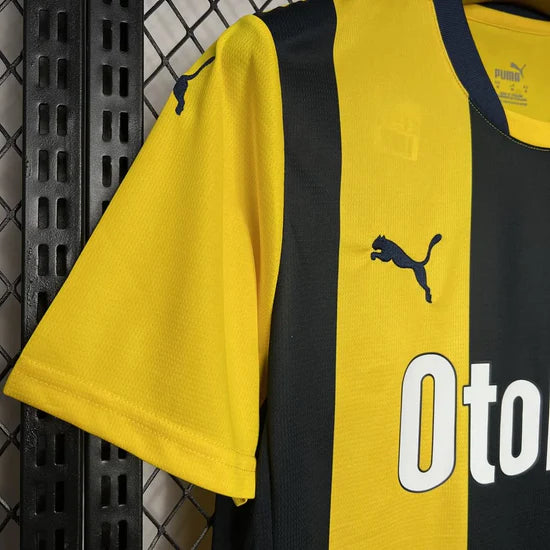2024/2025 Galatasaray Third Away Football Shirt